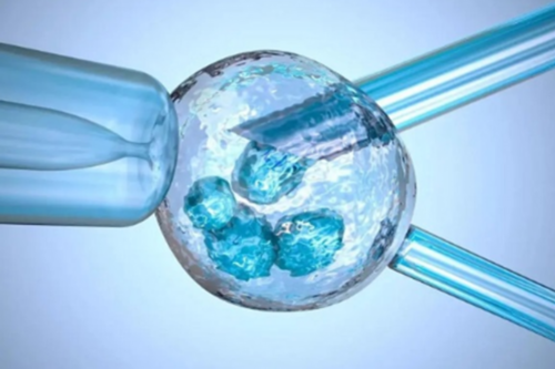 当生命需要借力：未育女性安全供卵的检查历程与老医生心路