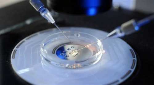 太原代生代育机构精选：温馨生命之旅的明智选择