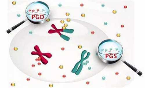 深圳寻梦：优质供卵代怀服务点亮家庭希望之路