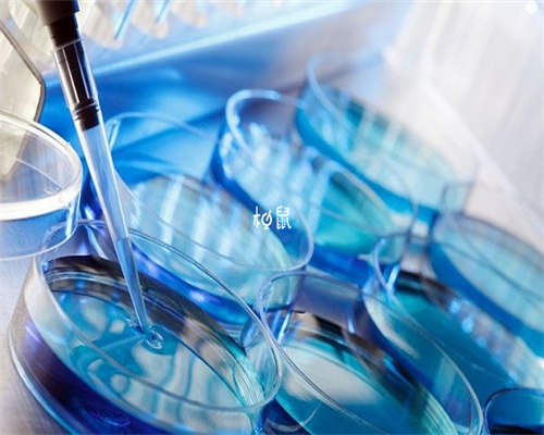 长沙寻求代孕？老专家的心声与温暖指南