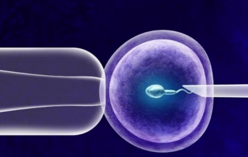 正规医院代孕之路：温暖生命的希望旅程