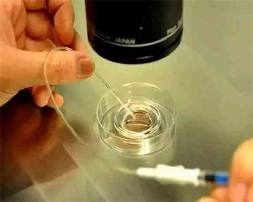 拥抱希望：在国家认证供卵代生中心开启您的生育旅程