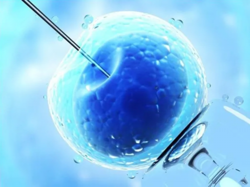 北京代孕生男孩成功率解析：心灵与科技的融合之旅