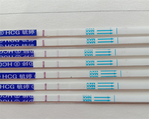 长沙助孕中心：生命奇迹在指尖绽放的温暖见证