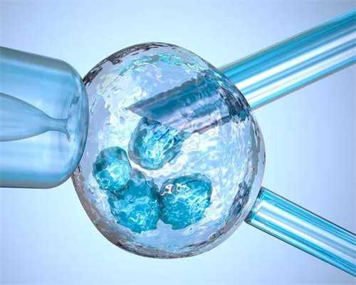 泰国代孕与供卵：在绝望中寻找希望之光