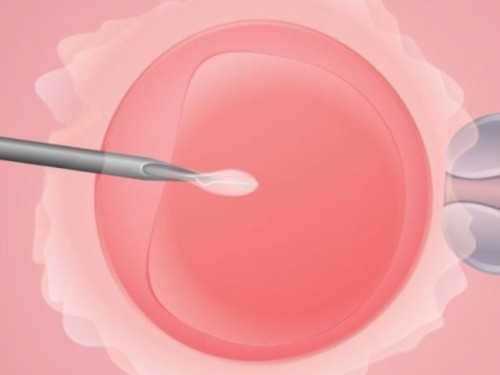 当生命之门关闭时，权威代孕如何开启新希望：一位资深专家的真实见证