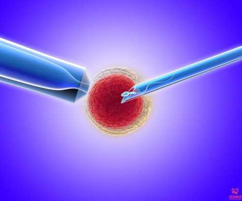 国内正规供卵代怀咨询指南：十年经验分享与暖心建议