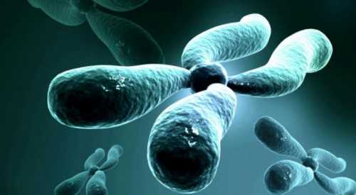 供卵三代与二代：生命之路的抉择，梦想守护指南