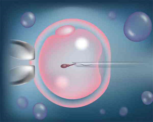 当隐秘的渴望遭遇专业忠告：私下供卵代怀，你选对路了吗？