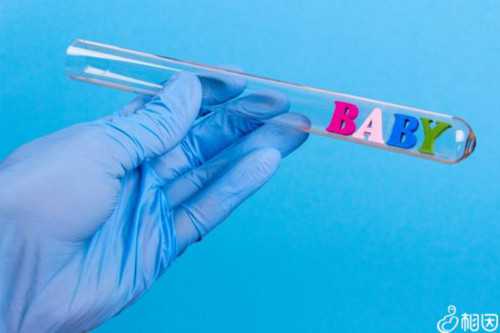 希望重生之路：我的供卵试管代怀真实体验与指南