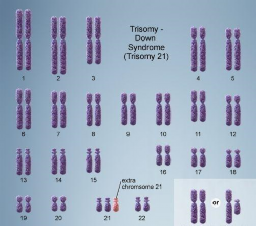 圆梦父母之旅：国内试管代怀机构的真实故事与选择指南
